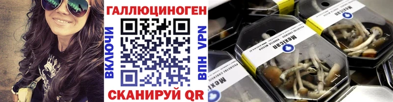 купить наркоту  darknet официальный сайт  Псилоцибиновые грибы GOLDEN TEACHER  Ельня 